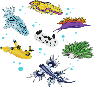 Nudibranch Sea Slug Ocean Scuba Diver Snorkeling Aquarium Tote Bag