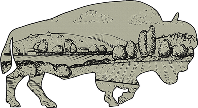 Landscape Buffalo Bison Ornament