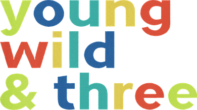 3rd Birthday Boy Funny Young Wild & Three Ornament