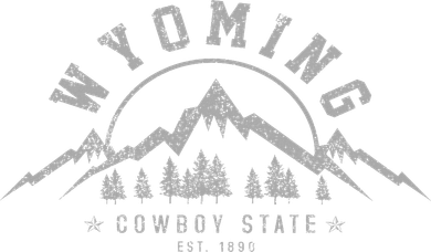 Wyoming The Cowboy State Est. 1890 Usa America Souvenir Toddler Hoodie