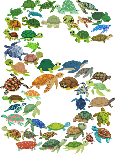 6th Birthday Sea Turtle Tortoise Themed 6 Year Old Bucket Hat