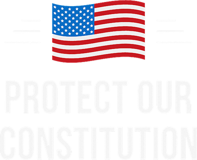 Protect Our Constitution Hoodie