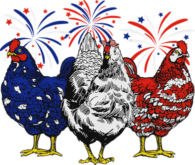 Chicken Usa Flag Patriotic Chicken Lover 4th Of July Toddler Hoodie