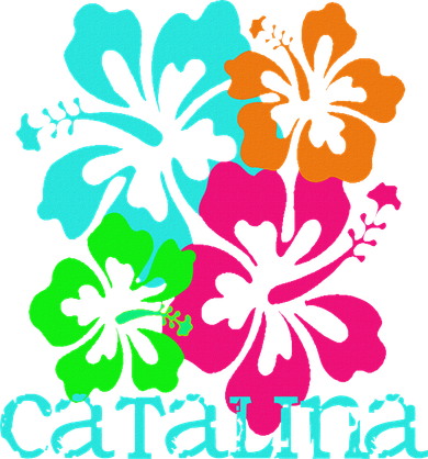 Catalina Island Beach Tropical Paradise Travel Surf Ocean T-Shirt