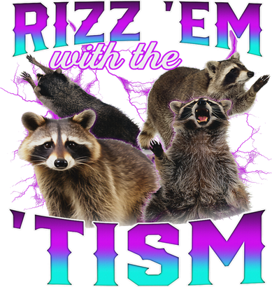 Autism Funny Rizz Em With The Tism Meme Racoon Mousepad