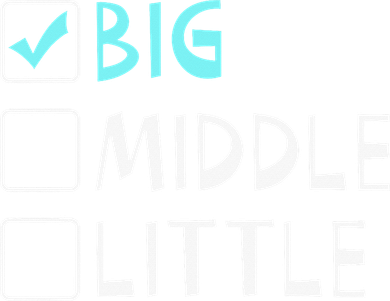 Big Middle Little Big Brother Doddie Hoodie