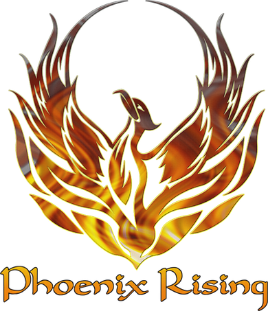 Cool Phoenix Bird Rising Button