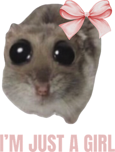 Sad Hamster Meme I'm Just A Girl Hoodie