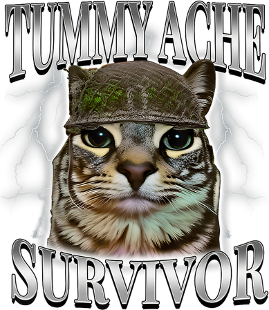 Tummy Ache Survivor Cat Meme Funny Saying Cats Animals  Baby Bodysuit
