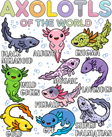Axolotls Of The World Axolotl Kawaii Animals Salamander Toddler T-Shirt