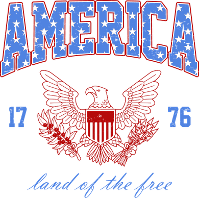 4th Of July Independence Day Land Of The Free Hooded Wearable Blanket