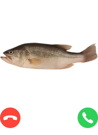 Fih Calling Remind Me Message Decline Accept Phone Call Fish Toddler Long Sleeve
