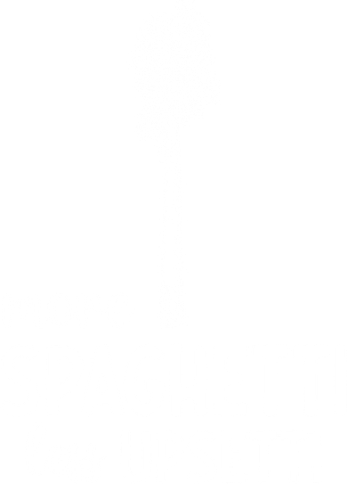 More Spaghetti Less Upsetti Women's T-Shirt