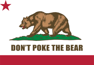 Don’t Poke The Bear California Republic Funny Kids Hoodie