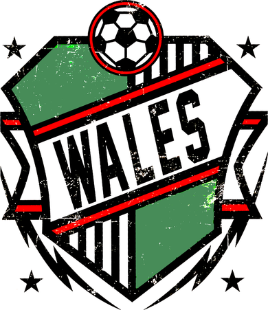 Wales Qatar Soccer Kids Hoodie