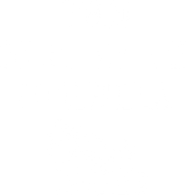The Sleigh Of Ophelia Funny Christmas Toddler T-Shirt