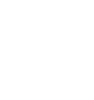 Vintage Octopus Illustration Apron