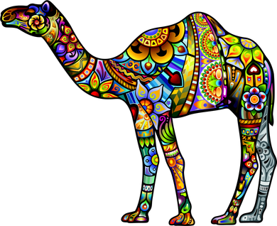 Colorful Camel Coaster