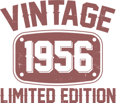70th Birthday Vintage 1956 Limited Edition Birthday Metal Plate  Toddler Hoodie
