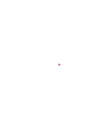 Funny Stupid Canadian Wolf Bird Loon Hockey Wildlife Women's Tank Top