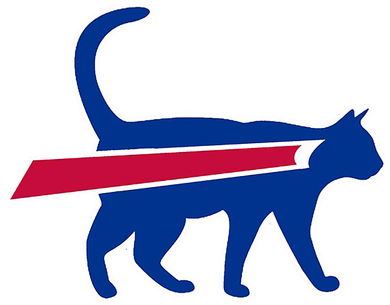 Cat Bills Funny Football Fan Baby Bodysuit