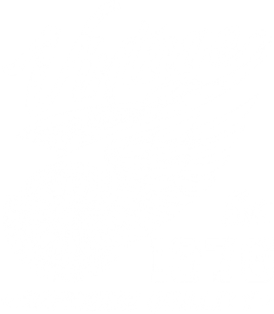 50th Birthday Vintage Age To Perfection EST 1976 Superior Quality Tumbler