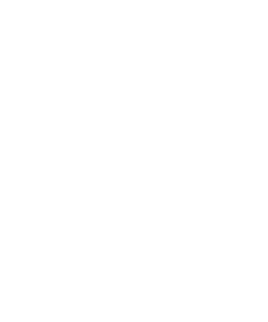 50th Birthday Made In 1976 Highest Quality Genuine All Original Parts Button