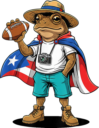 Puerto Rico Coqui Frog Funny Football Santa Hat