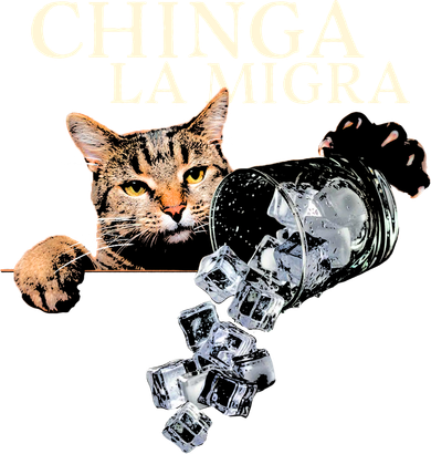 Chinga La Migra Cat Anti ICE Kids Long Sleeve Shirt