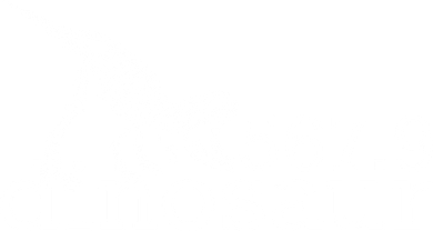567.9 Dinosaur Kids Hoodie