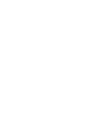 Funny Abe Lincoln Land Of The Free Refills Women's T-Shirt