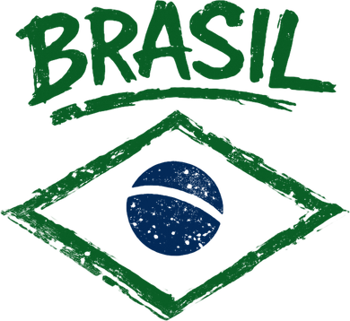 Brasil Graphic Fag Soccer Lovers And Fans Santa Hat