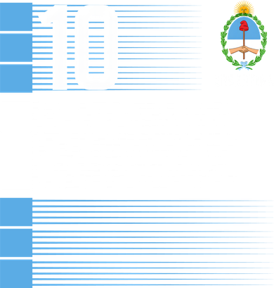 Argentina Jersey 10 Soccer World Toddler Hoodie