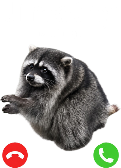 Funny Jimothy Is Calling Raccoon Viral Meme Women's Tank Top
