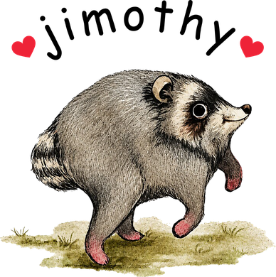 Love Jimothy Raccoon Seattle Feral Funny Trash Panda Women's T-Shirt