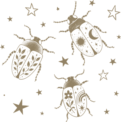 Beetle Illustration With Stars And Cosmic Women's Hoodie