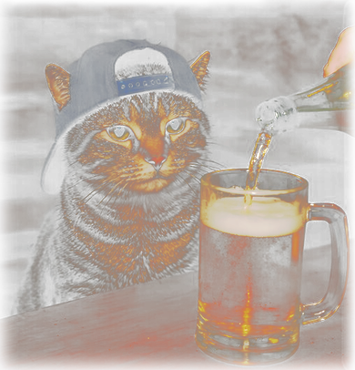 Cat Wearing Hat Getting Beer Poured Unimpressed Tabby Beanie
