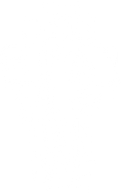 Jesus Is King Lion Christian Faith Graphic Women's T-Shirt