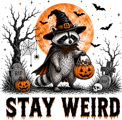 Stay Weird Halloween Raccoon Funny Coaster