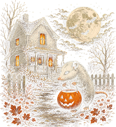 Vintage Halloween Opossum Pumpkin Trick Or Treating Women's Tank Top