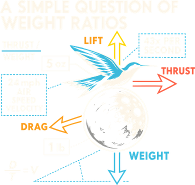 A Simple Question Of Weight Ratios Women's Tank Top