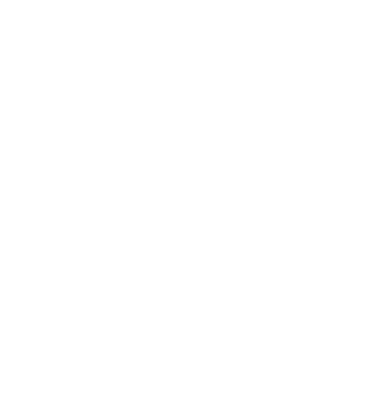 Big Nap Club Fluffy Cat Women's T-Shirt