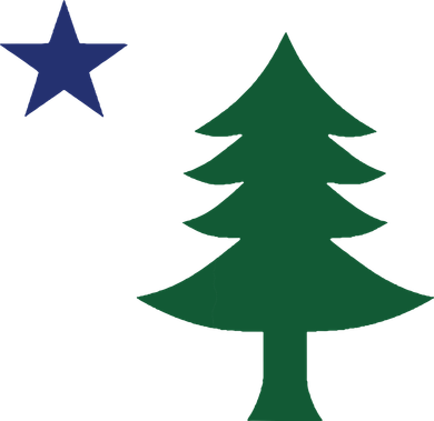 1901 Old First Flag Of Maine Pine Tree And Star Kids T-Shirt