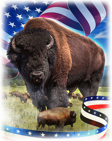 American Bison USA Flag Buffalo Beanie