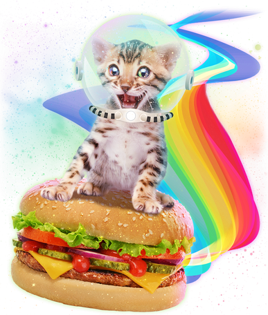 Rainbow Burger Space Cat Kids T-Shirt