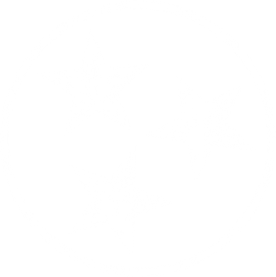 3 Star Tn Flag Graphic White Distressed Tennessee State Flag Women's T-Shirt