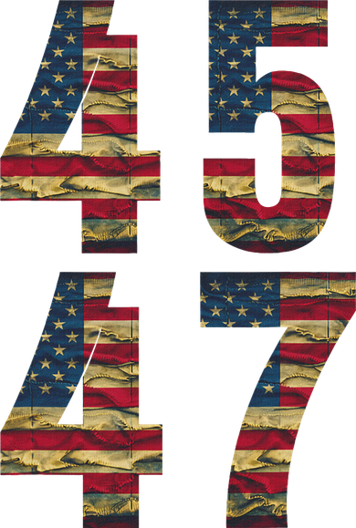 45 47 Trump Vintage Flag 2024 Election Hat
