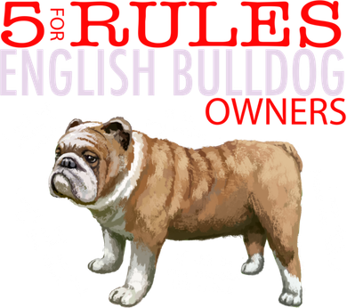 5 Rules For English Bulldog Owners Gift Button