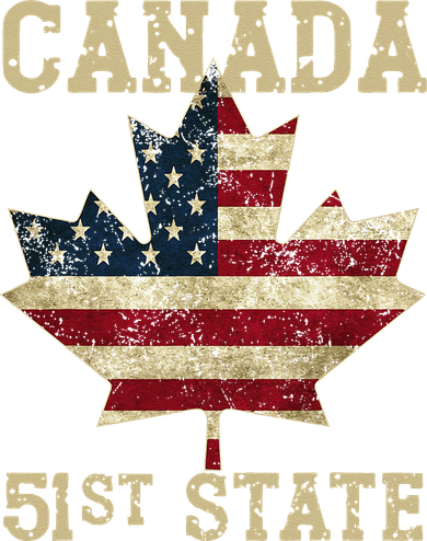 51st State Canada American Flag Canada 51st State Vintage Gift Santa Hat