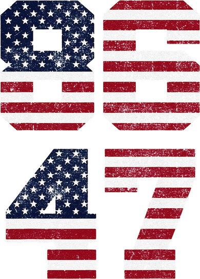 8647 Subtle Anti Funy 86 47 Retro America Flag Coffee Mug